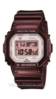  Casio GB-5600AA-5E 